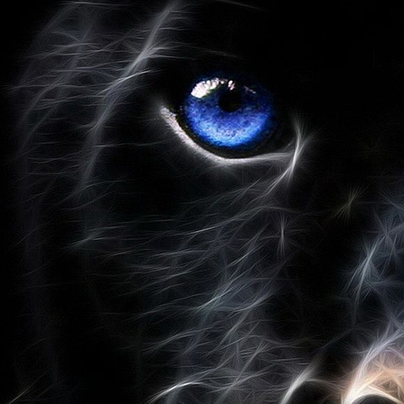 Meet your Posher, Cheryl - Picture 1 of 1